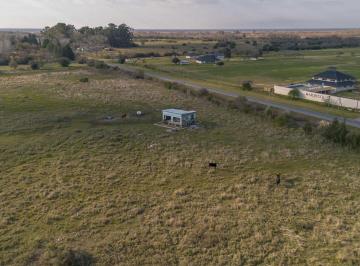 Campo · 7ha · Ha en Venta en Magdalena
