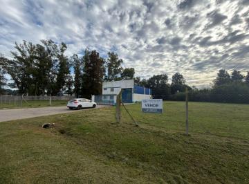 Terreno · 300m² · Terreno de 4877 m² y Galpon de 300 m²