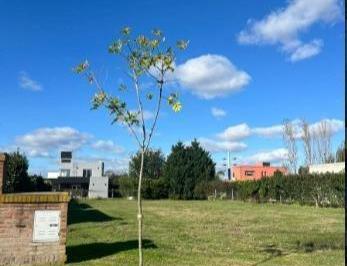 Terreno · 808m² · Lote de Terreno en Palos Verdes