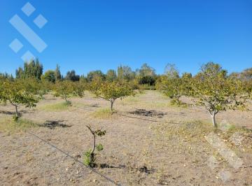 Terreno · 2440m² · Terreno en Senillosa