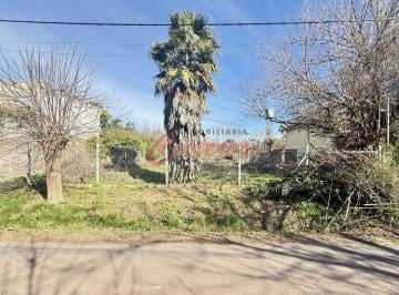 Terreno · 1000m² · Terreno en Calle San Martín 267, Barrio Peluffo, Cañuelas — 1.000 m² (20×50)