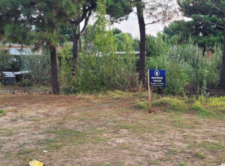 Terreno · 486m²
