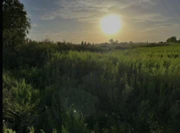 Campo · 70000m² · Finca Inculta de 7 Hectáreas, Calle Gardella, Maipú, Mendoza