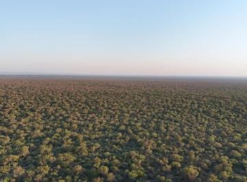 Campo · 115000000ha · Campo Ganadero Apicola Tulumba Cordoba