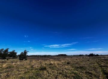 Campo · 320000ha · Campo de 32 Hectáreas en Venta | Fracciones Desde 3 Ha