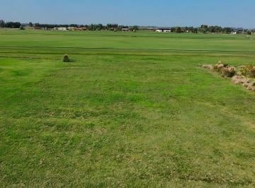 Terreno · 3908m² · Terreno con Fondo a Las Canchas de Polo en Chacras de La Trinidad