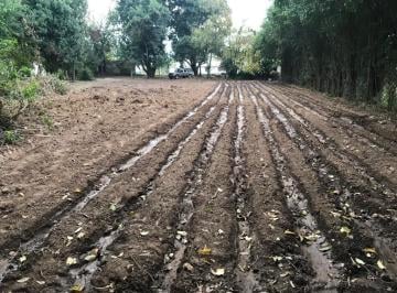 Campo · 2ha · Chacra en Venta Rosario de Lerma. Finca Carabajal