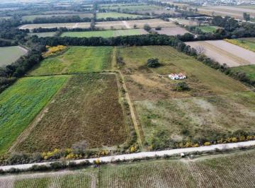 Campo · 67000m² · 5 Ambientes · Chacra en Venta. 3 Has con Casa Tres Dorm.. La Silleta. Salta. Ruta 51