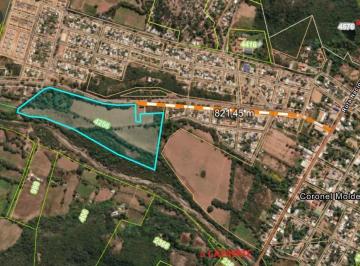 Campo · 110000ha · Campo de 11 Has en Coronel Moldes Salta