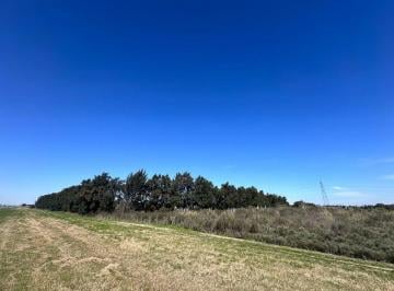 Campo · 18ha · Venta Campo en Ruta 1 Kilometro 16