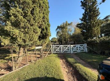 Campo · 90ha · Chacra en Venta en 9 de Julio
