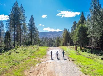 Terreno · 2500m² · Lotes