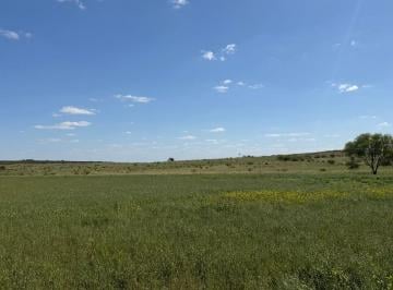 Campo , Bahía Blanca · 284 Ha Bahia Blanca - Arrendamiento