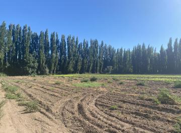 Campo · 47600m² · Terreno - Vista Alegre Sur