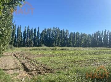 Campo · 47600m² · Terreno - Vista Alegre Sur