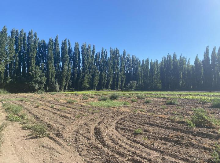 Campo · 47600m²