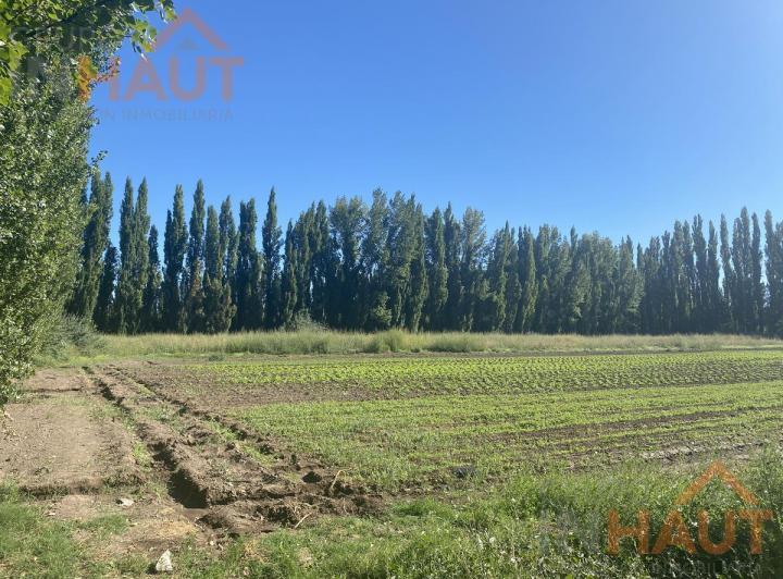 Campo · 47600m²