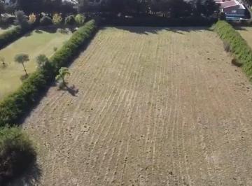Terreno · 2500m² · Lote de 2500 Mtros en Sinsacte San Isidro