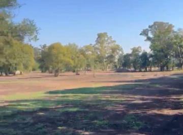 Terreno · 1000m² · Lote Financiado | Escritura Individual | Loteo Semicerrado | 800 a 1000 m² | La Reja Moreno