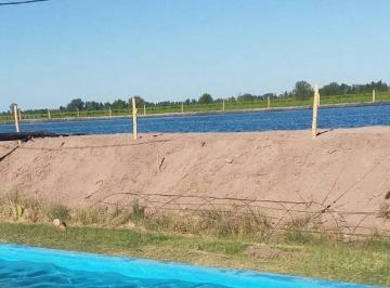 Campo · 500000ha · Finca en San Martín - Carril Chimbas