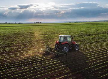 Terreno · 65000m² · Campo Chovet 6,5 Ha Suelo 1 Consultar Oportunidad