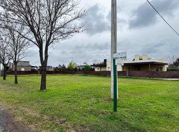 Terreno · 556m² · Terreno en Las Casuarinas