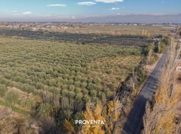 Terreno · 2025m² · Lote Venta Para Galpón Industrial Calle Monteagudo Corralitos, Maipu, Mendoza