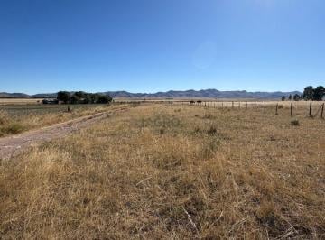Campo , Saavedra · 147 Ha Saavedra - en Venta
