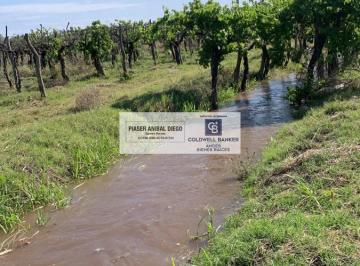 Campo · 100000ha · Finca 10 Hectáreas Real del Padre