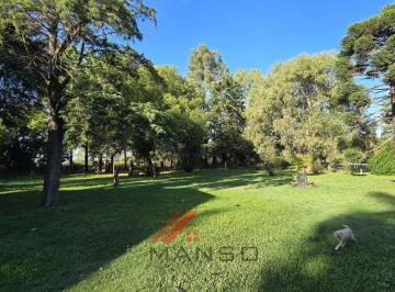 Quinta vacacional · 237m² · 2 Ambientes · Quinta - Venta - Amplia - Galpon - Arboles - 20 de Junio