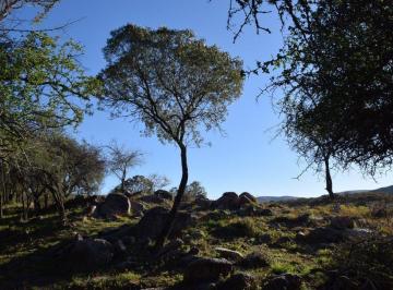 Terreno · 2850m² · Venta Lote en La Granja 2800 m con 60 m de Costa de Río!