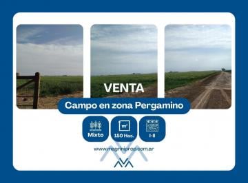 Campo · 1500000ha · Campo Mixto 150 Ha en Zona Pergamino, Buenos Aires