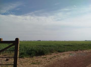 Campo · 150ha · Campo Mixto 150 Ha en Zona Pergamino, Buenos Aires