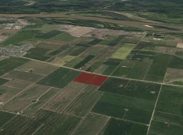 Campo · 392000ha · Campo Agrícola de 39 Has Al Norte de Buenos Aires