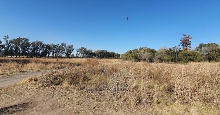 Terreno · 2500m²