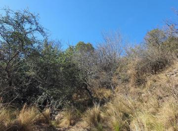Terreno · 6339m² · Se Vende Terreno de 6300 m² en Cabana!