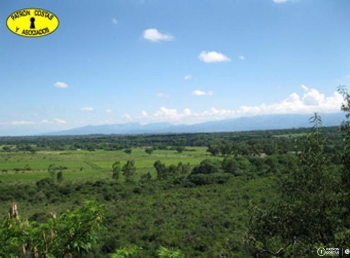 Campo · 50000m²
