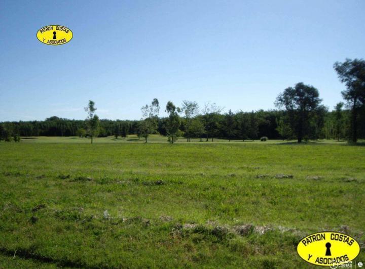 Terreno · 5000m²