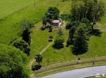 Imagen 1 · Chacra a La Venta Nelson - Ideal Emprendimiento