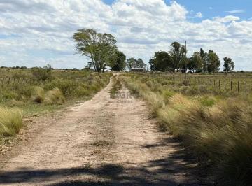 Campo , Carmen de Patagones · 1181 Ha J. A. Pradere. - Campo en Venta