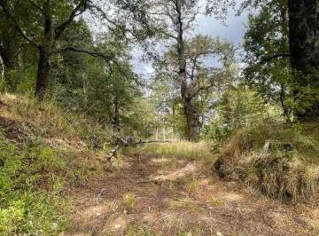 Terreno , San Martín de los Andes · Fracción Venta San Martin de Los Andes