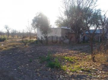 Campo · 70990m² · Venta de Finca en General Alvear. Productiva