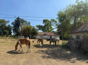 Campo · 186500m² · Campo en Glew