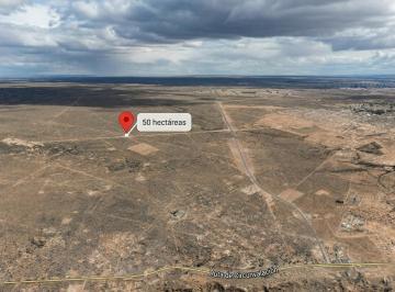 Terreno · 500000ha · 50 Hectáreas a 4 Km, Rotonda Ruta 67, Neuquen