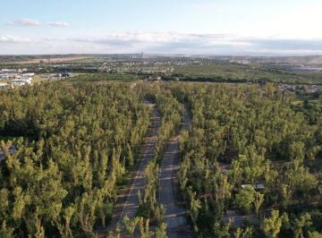 LSB-LSB-181_2 · Lote. | Ruta Nacional 20 - Colectora