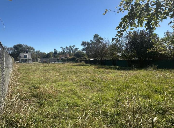 Terreno · 1250m²