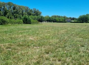 Terreno , Brandsen · Lote en Campos de Roca II Inmejorable Ubicación
