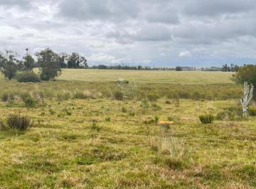 Foto1 · Campo en Garzón