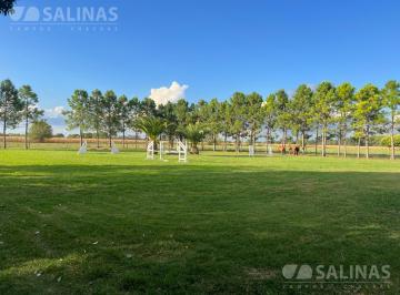 Campo · 193600ha · 19, 50 Ha Chacra con Instalaciones Ecuestres en Lujan