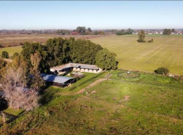 Campo , Luján · Chacra de Polo Para Cría y Guarda de Caballos